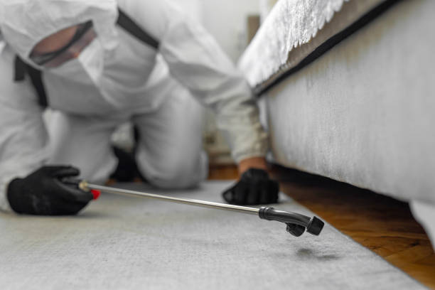 Professional Bed Bug Control technician working in Sterling, GA